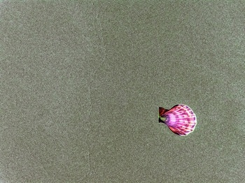 N 039C